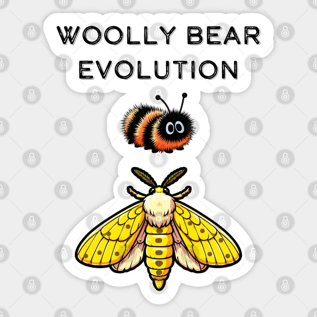 Isabella Tiger Moth Woolly Bear Sticker by dinokate